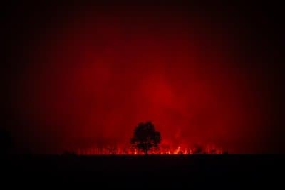 Flames threaten Bordeaux as deadly wildfires rage in France and Spain