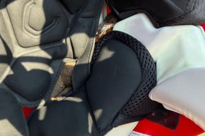 Look: High school football player finds cottonmouth snake inside helmet