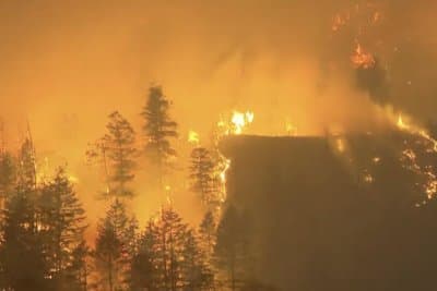 Woman dies in fast-moving B.C. wildfire as thousands evacuate