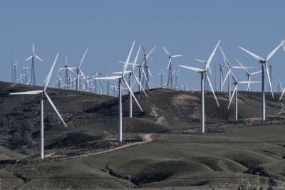 Trump administration pays $1.22 billion to kill another wind power project