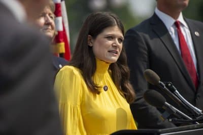 Democrats Abdul El-Sayed, Rep. Haley Stevens face off in Michigan Senate primary