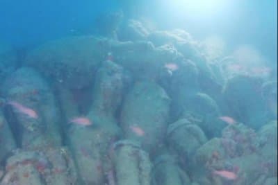 Fishermen find 2,100-year-old Roman shipwreck near Sicily