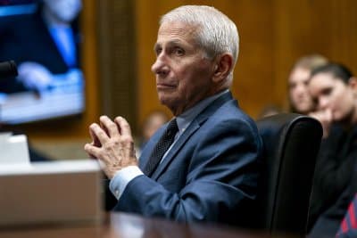 Senate committee votes to hold Fauci in contempt of Congress after bombastic COVID hearing