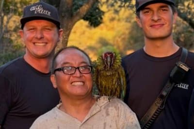 Look: Firefighters rescue macaw stranded in California tree