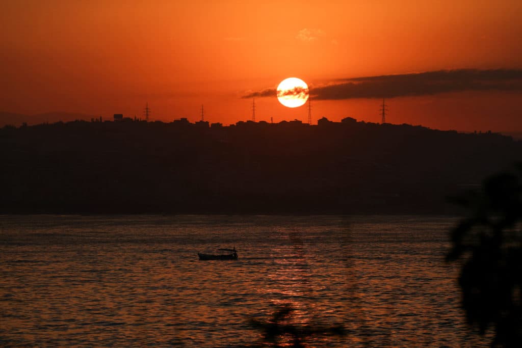The Mediterranean's warming waters are drawing hundreds of invasive species