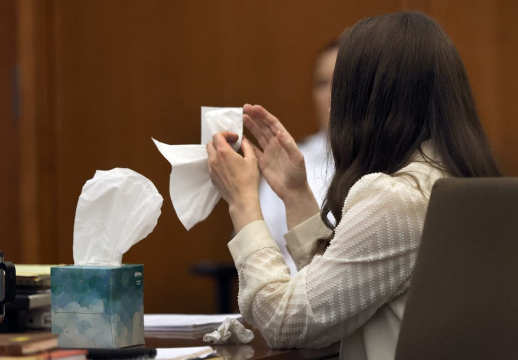 Lindsay Clancy's psychiatrists testify at her murder trial