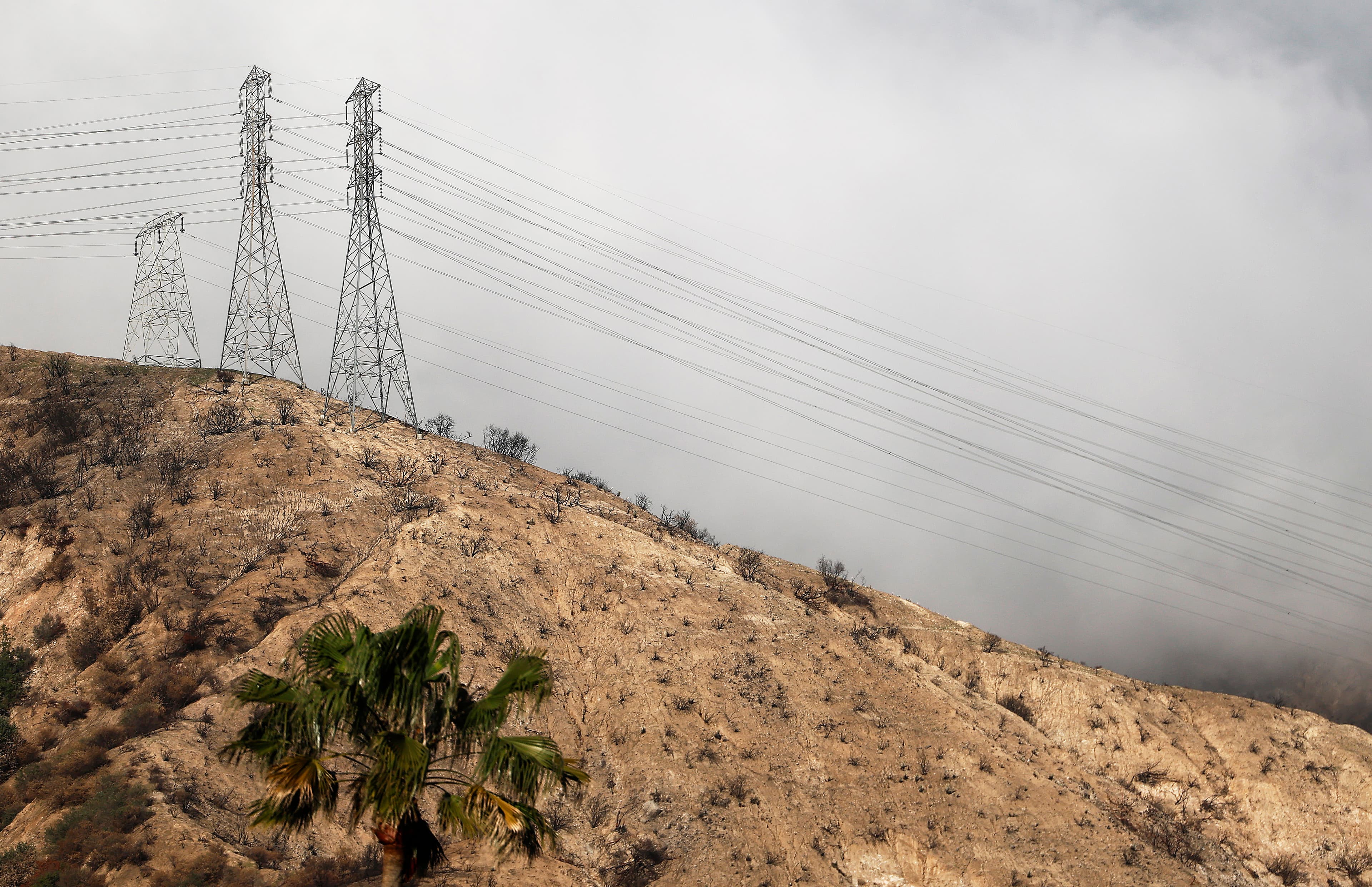 Edison Tower Caused Deadly Eaton Fire That Nearly Decimated Altadena, Investigation Finds