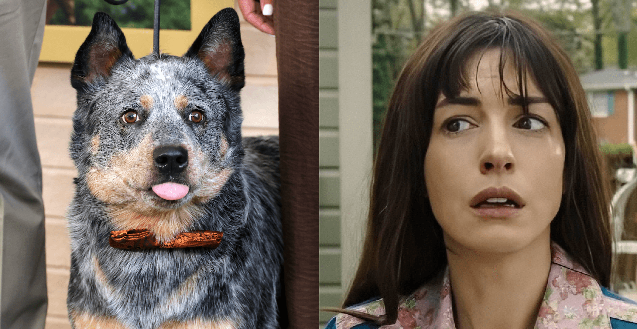 Anne Hathaway Knows You’re Worried About The Fate Of Starbuck The Dog In ‘The End Of Oak Street’