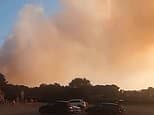 Holidaymakers evacuated as firefighters battle huge wildfire in Suffolk