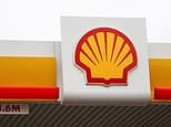 Shell offloads European renewables business to TotalEnergies in latest pivot away from green energy