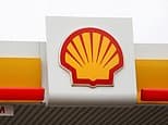 Shell sells wind and solar energy business to French rival Total in latest Net Zero retreat