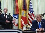 Trump's explosive birthright citizenship order targeting tourists and babies could be BLOCKED