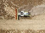 Banks roll out emergency loans for farmers as severe drought threatens to savage crop yields