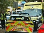 Man, 55, dies 'after being bitten by dog on footpath' - as police arrest its owner on suspicion of murder