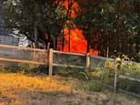 Human bones 'are unearthed by wildfires' at London park