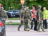 Girl, 17, is killed in sword rampage at Swedish school, police confirm