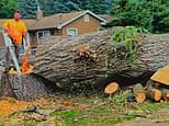 Tragedy after Midwest tree trimmer decided to play joke on co-worker with heavy duty GRAPPLER machine