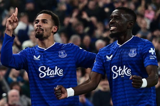 Idrissa Gueye issues three-word transfer message Everton fans will love as Iliman Ndiaye returns