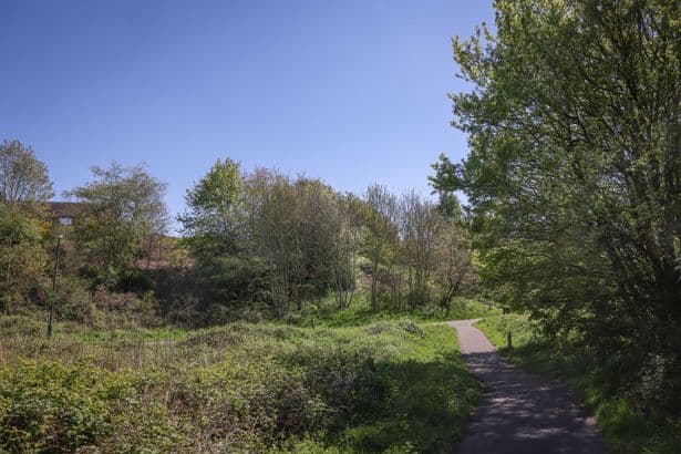 Man slashed and stabbed 'multiple times' near Midlands nature reserve after thugs jump out of car
