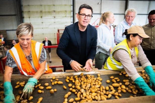 State pensioners who retired before 2016 could get £3,053 less under Andy Burnham
