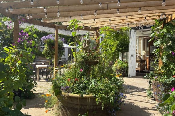 Beauty spot 30 minutes from Newcastle with delightful cream teas in stunning courtyard
