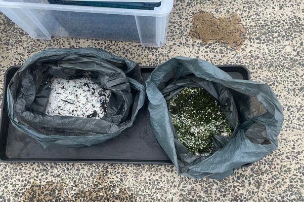 'We expect action' - Calls for boats to help collect spilled nurdles after River Tyne crash