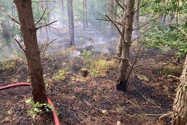 Residents urged to avoid area as firefighters tackle North East woodland blaze