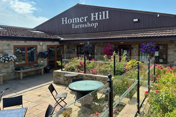 North East farm shop with kids play area that sells top pies and 'better than Greggs' pasties