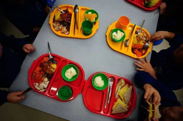 Union urges Tyneside council to bring school meals back in-house after damning national report