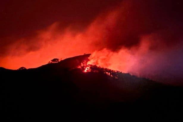 UK heatwave: 'National emergency' fears as temperatures soar to 38C