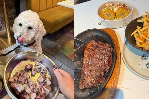This dog-friendly city centre restaurant is one of the best meals I've had in Glasgow