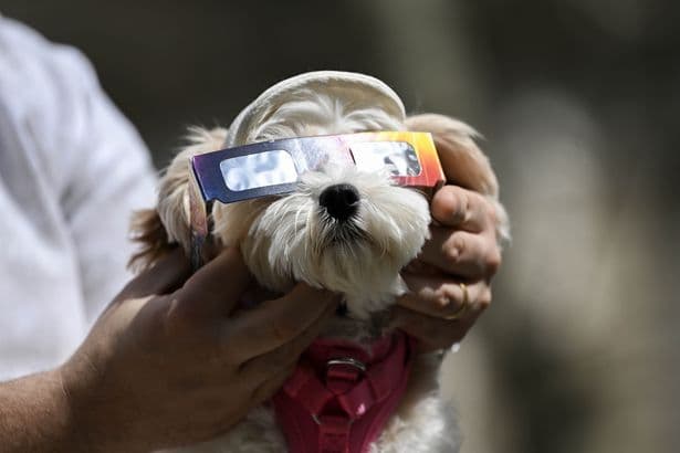 Where to get safe solar eclipse glasses in Scotland and how to spot fakes
