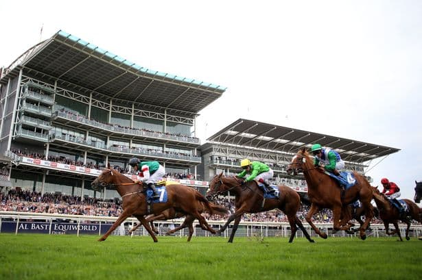 Ebor Festival Day 1 tips and best bets as son of legendary Frankel napped in meeting’s richest race ever