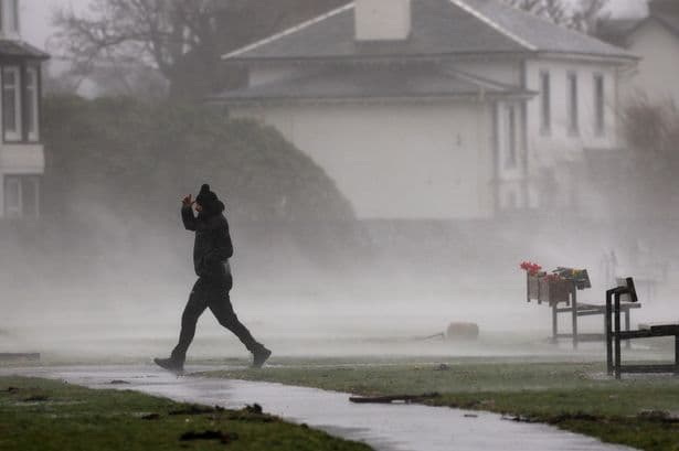 You can help pick the new name for a Met Office storm - with an Oscar award catch