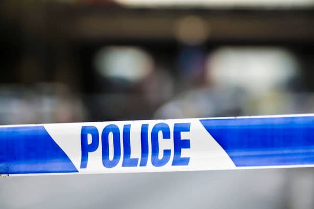 Pensioner, 75, dies following burglary on leafy London street as police issue desperate appeal for information