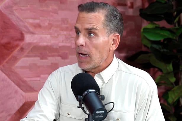 Hunter Biden blames 'closeted gay mafia' with Lindsey Graham claim 'everybody knew'