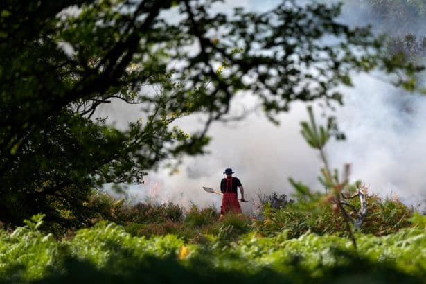 New Forest fire - live: Ravaged wildlife haven could take 'decades' to recover