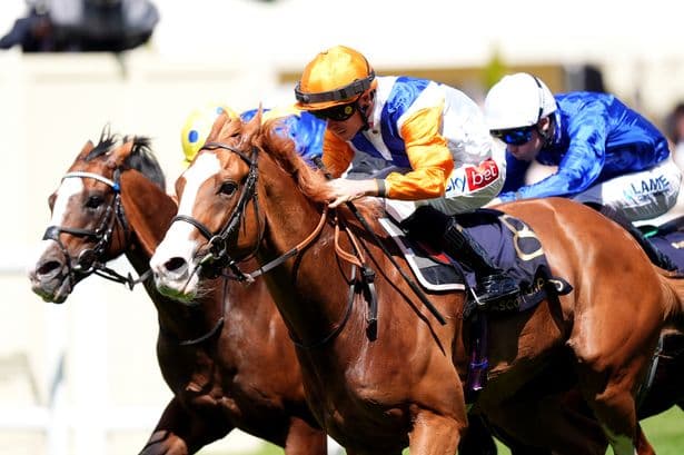York Ebor Festival day three tips from award-winning tipster – including huge 40/1 shot