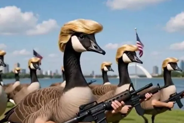 Trump Dances, Kicks Down Lake Ontario Sign In Bizarre AI Video