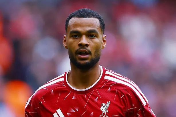 BREAKING Liverpool make final Cody Gakpo decision as Man City learn £80m bid outcome