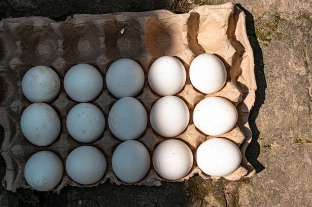 Deadly salmonella outbreak 'may be linked to eggs imported from outside of the UK'