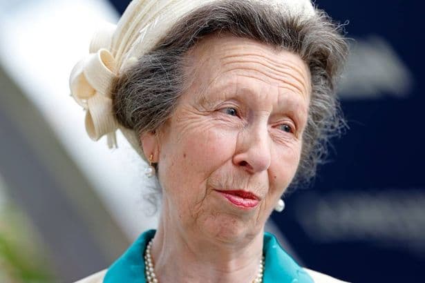 Princess Anne gives stark eight-word warning to Prince Harry – 'this is nonsense'