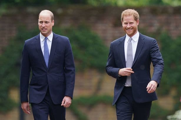 Public want Prince William and Prince Harry to reconcile