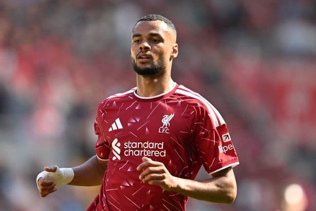 Cody Gakpo 'agrees Tottenham transfer' as path clear for Bradley Barcola to join Liverpool