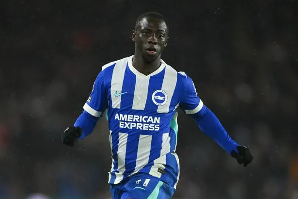 Liverpool transfer state of play - Bradley Barcola, Yankuba Minteh, Cody Gakpo, Jamie Leweling