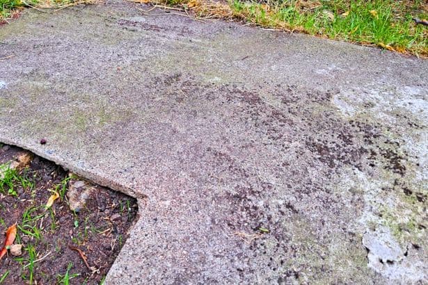 I can stop moss growing on patios in 5 minutes with a common kitchen item most people own