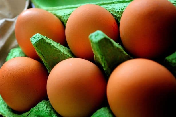 One dead in UK salmonella outbreak as over 200 ill in possible 'imported eggs' link