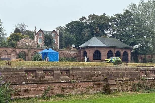 Murder investigation launched after woman's body found in Stanley Park