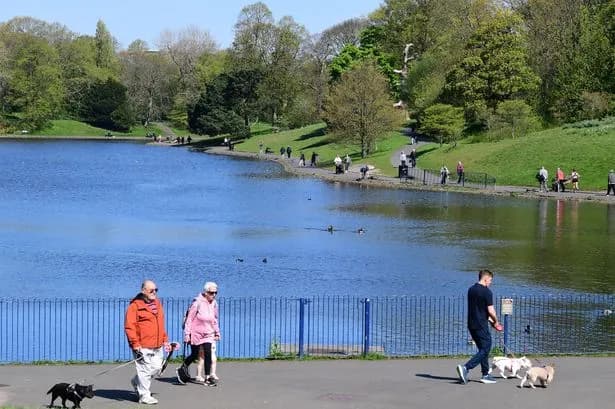 Met Office issues verdict on when hot weather will return after wet spell