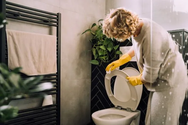 The 14 best shower caddies for all your personal care products, according to organization experts
